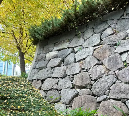 江戸城外堀跡 地下展示室の写真・動画_image_569296