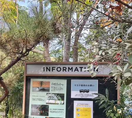 SHARE GREEN MINAMIAOYAMA(シェアグリーン南青山)の写真・動画_image_569309