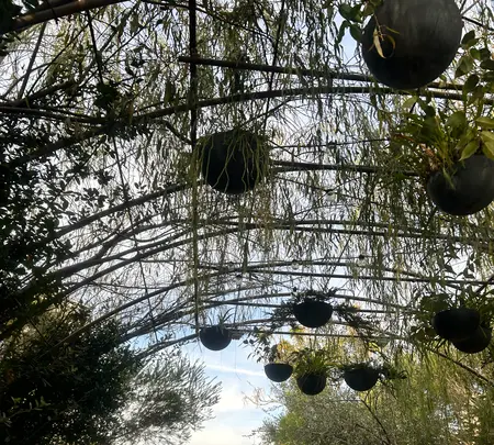 SHARE GREEN MINAMIAOYAMA(シェアグリーン南青山)の写真・動画_image_569310