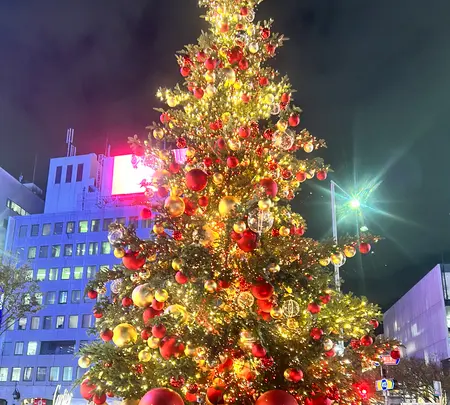 カルティエ広場の写真・動画_image_569318