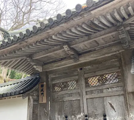 瑞巌寺の写真・動画_image_569659