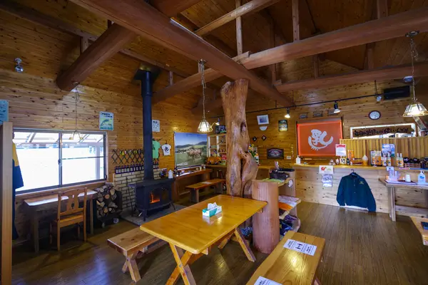 カップルの写真・動画_image_569708