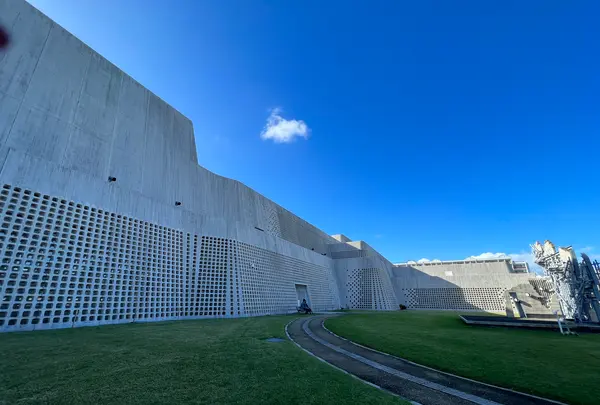 ミュージアムカフェ カメカメキッチンの写真・動画_image_570038