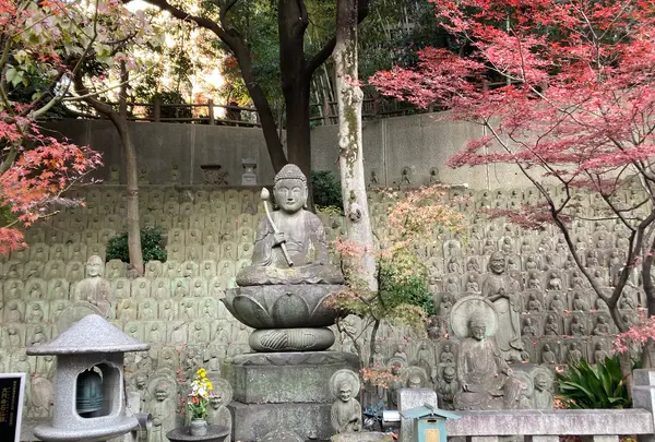 松林山 大圓寺（大円寺）（通称：大黒寺）の写真・動画_image_570437