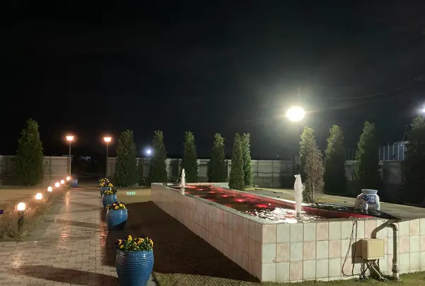 イラン料理サダフの写真・動画_image_570492