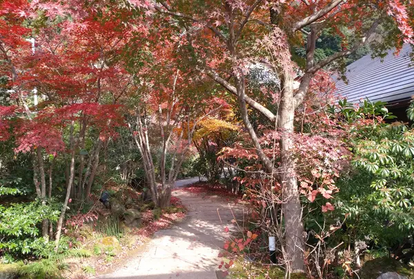 箱根湯寮の写真・動画_image_570561