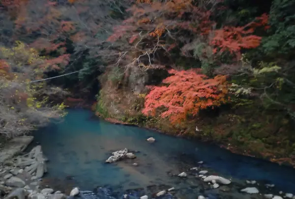 箱根湯寮の写真・動画_image_570600