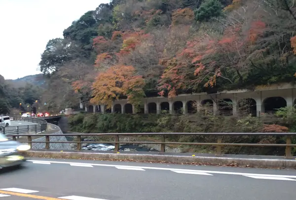 箱根湯寮の写真・動画_image_570601