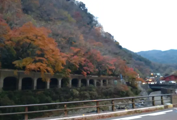 箱根湯寮の写真・動画_image_570602