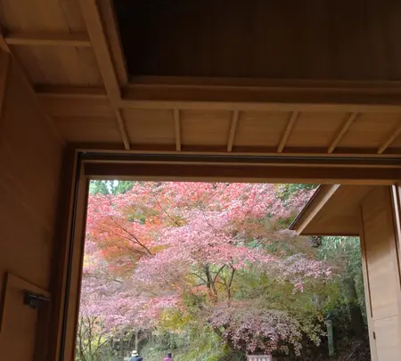 臼杵石仏（臼杵磨崖仏）の写真・動画_image_570835