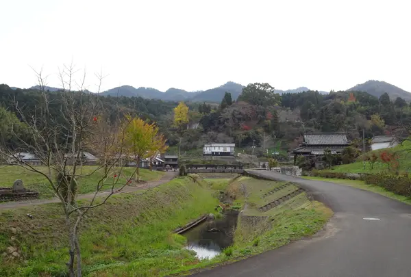 臼杵石仏（臼杵磨崖仏）の写真・動画_image_570840