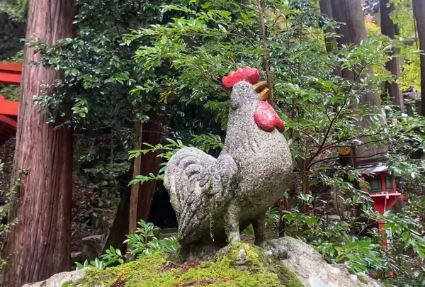 三方石観世音の写真・動画_image_570879