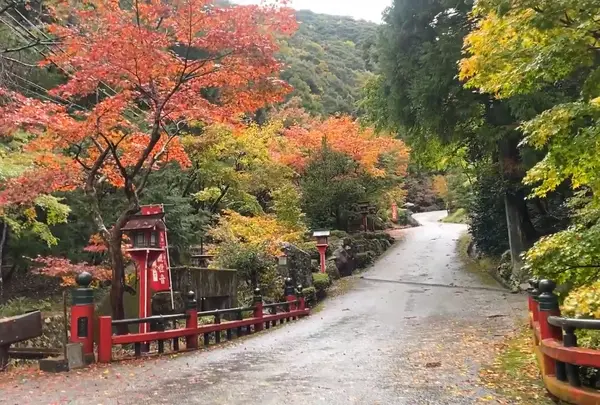 三方石観世音の写真・動画_image_570894