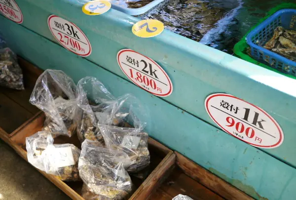 こちらも牡蠣がお買い得