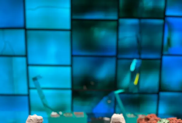 パトリック・ロジェの写真・動画_image_573275