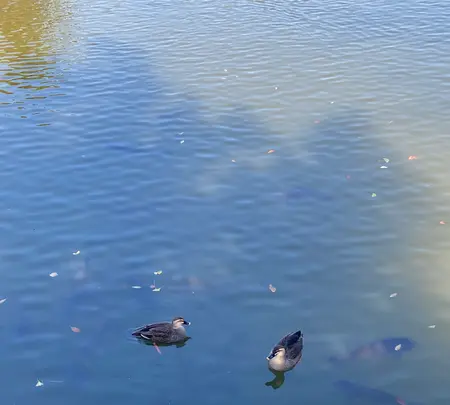 名城公園の写真・動画_image_573860