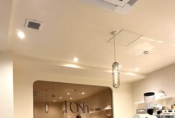 POSH（ポッシュ）の写真・動画_image_574192