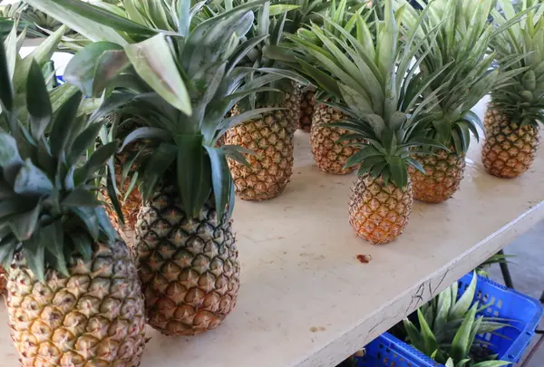 Dededo Flea market（デデドの朝市）の写真・動画_image_574549