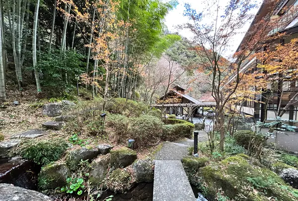 天成園の写真・動画_image_574992