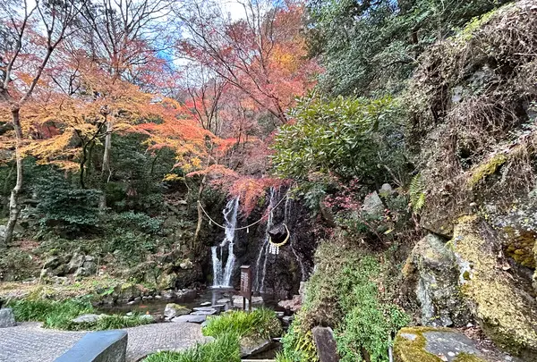 天成園の写真・動画_image_574993