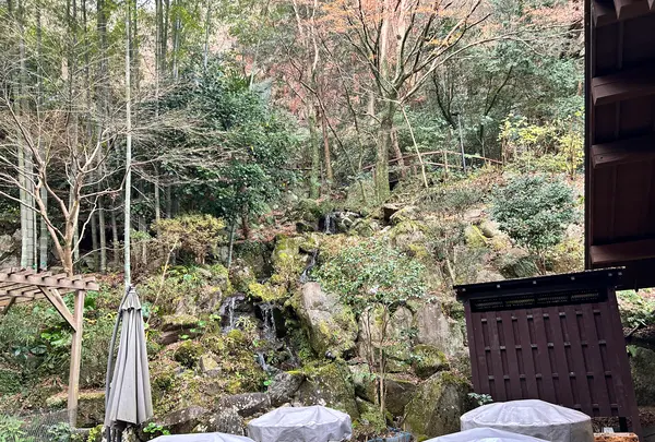 天成園の写真・動画_image_574995