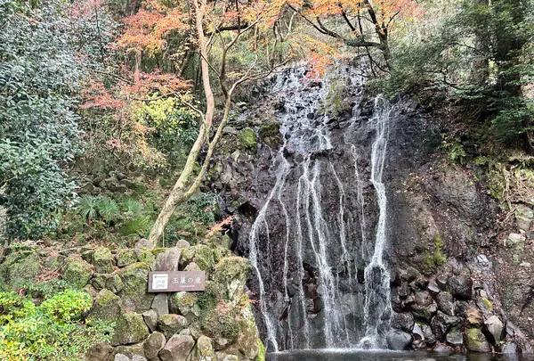天成園の写真・動画_image_574996