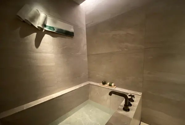 HOTEL THE MITSUI KYOTO (ホテル ザ ミツイ キョウト）の写真・動画_image_575280