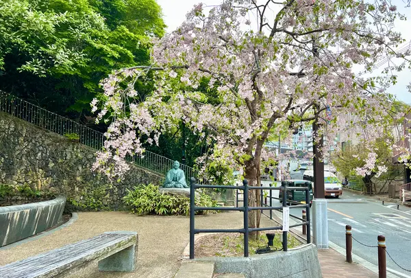 有馬温泉の写真・動画_image_575455