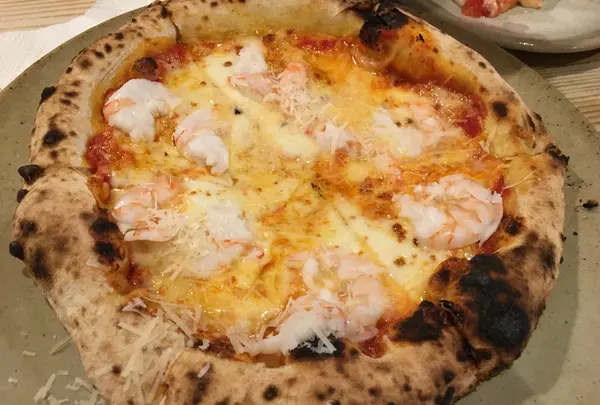 クワモンペの写真・動画_image_575467