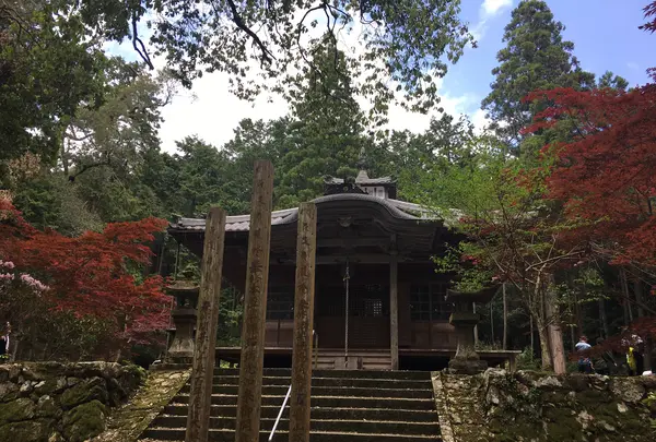 白毫寺の写真・動画_image_575476
