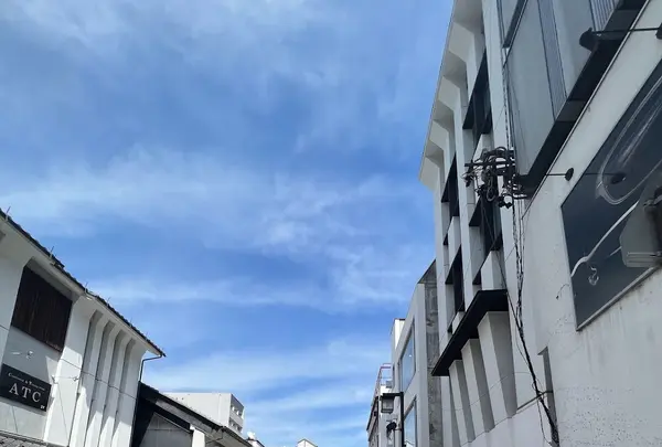 縄手通りの写真・動画_image_575506