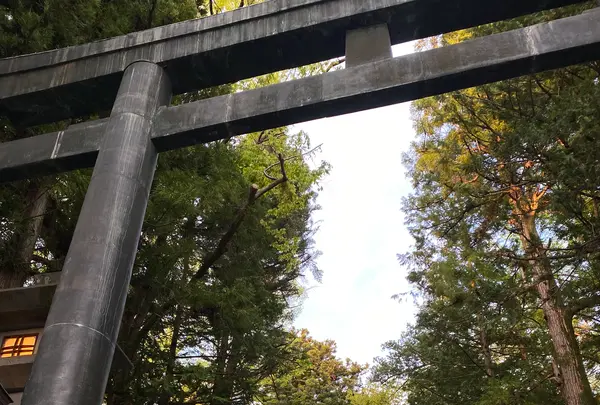 諏訪大社下社秋宮の写真・動画_image_575515