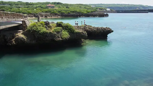 イムギャーマリンガーデンの写真・動画_image_575551