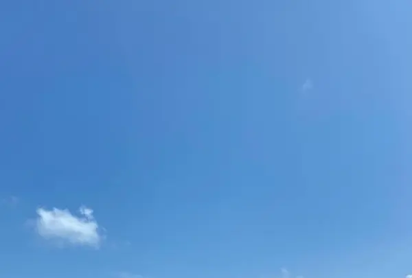 海美来の写真・動画_image_575567