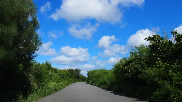 三角点の写真・動画_image_575573