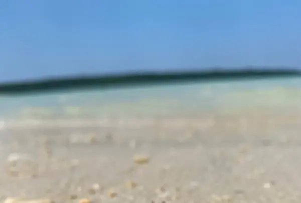 渡口の浜の写真・動画_image_575581