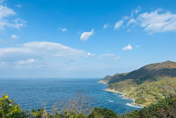 毘沙ノ鼻の写真・動画_image_575762