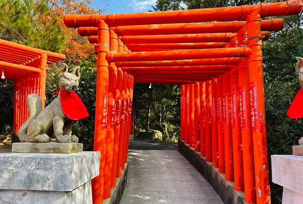 福徳稲荷神社の写真・動画_image_575769