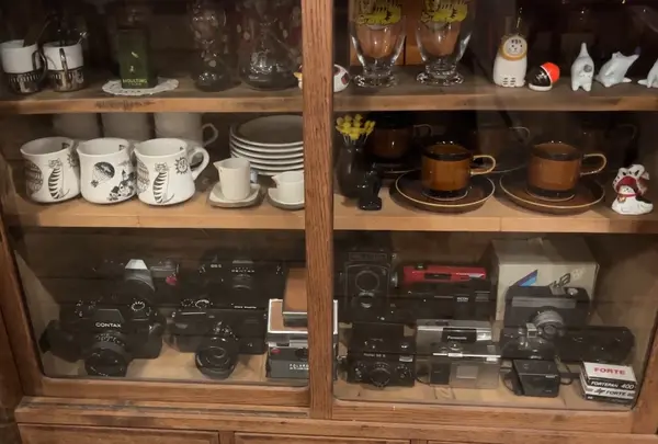 喫茶ネコノシマの写真・動画_image_576053