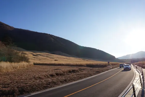 仙石原すすき草原の写真・動画_image_576680