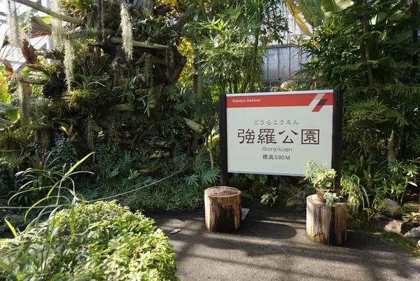 箱根強羅公園の写真・動画_image_576687