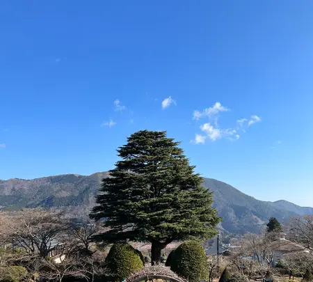 箱根強羅公園の写真・動画_image_576690