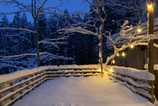 Sherokuma Sauna & Cafeの写真・動画_image_578367