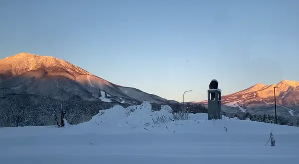 一番館プチハウスの写真・動画_image_578408