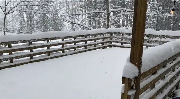 Sherokuma Sauna & Cafeの写真・動画_image_578574