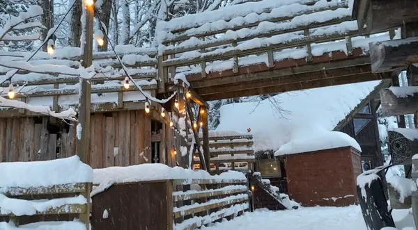 Sherokuma Sauna & Cafeの写真・動画_image_578575