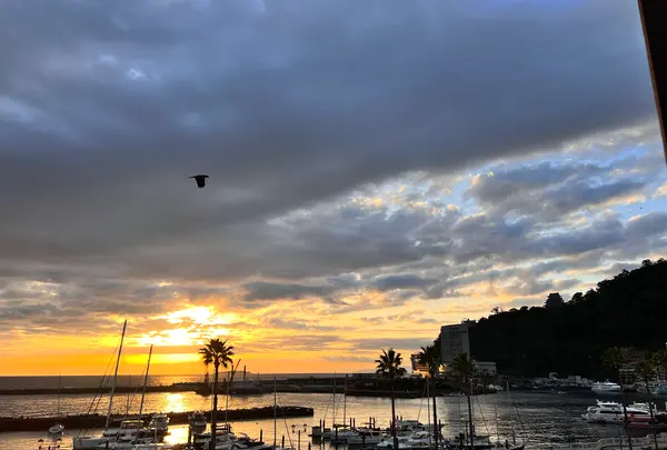 リブマックスリゾート熱海シーフロントの写真・動画_image_578675