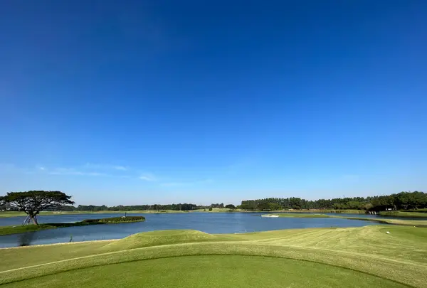 アヨダヤリンクスの写真・動画_image_579101