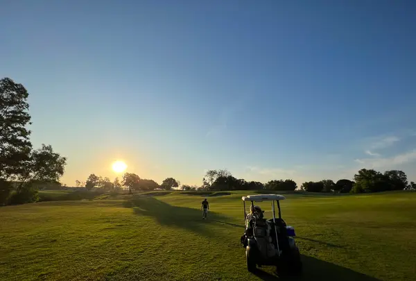 アヨダヤリンクスの写真・動画_image_579102