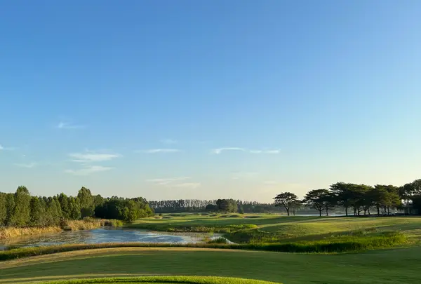 アヨダヤリンクスの写真・動画_image_579103